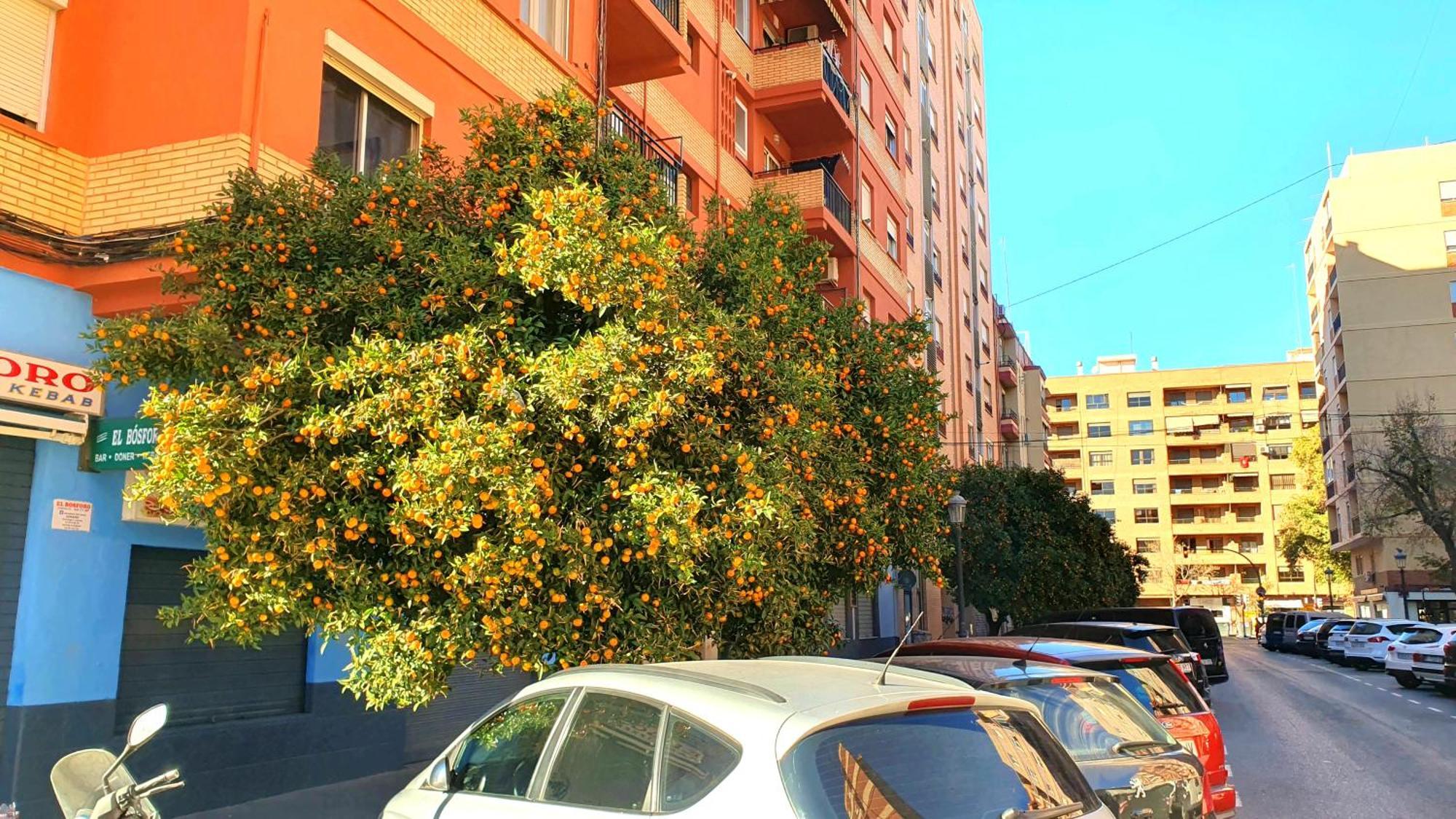 Nuevo Apartamentos Costa Del Alma Valencia Buitenkant foto