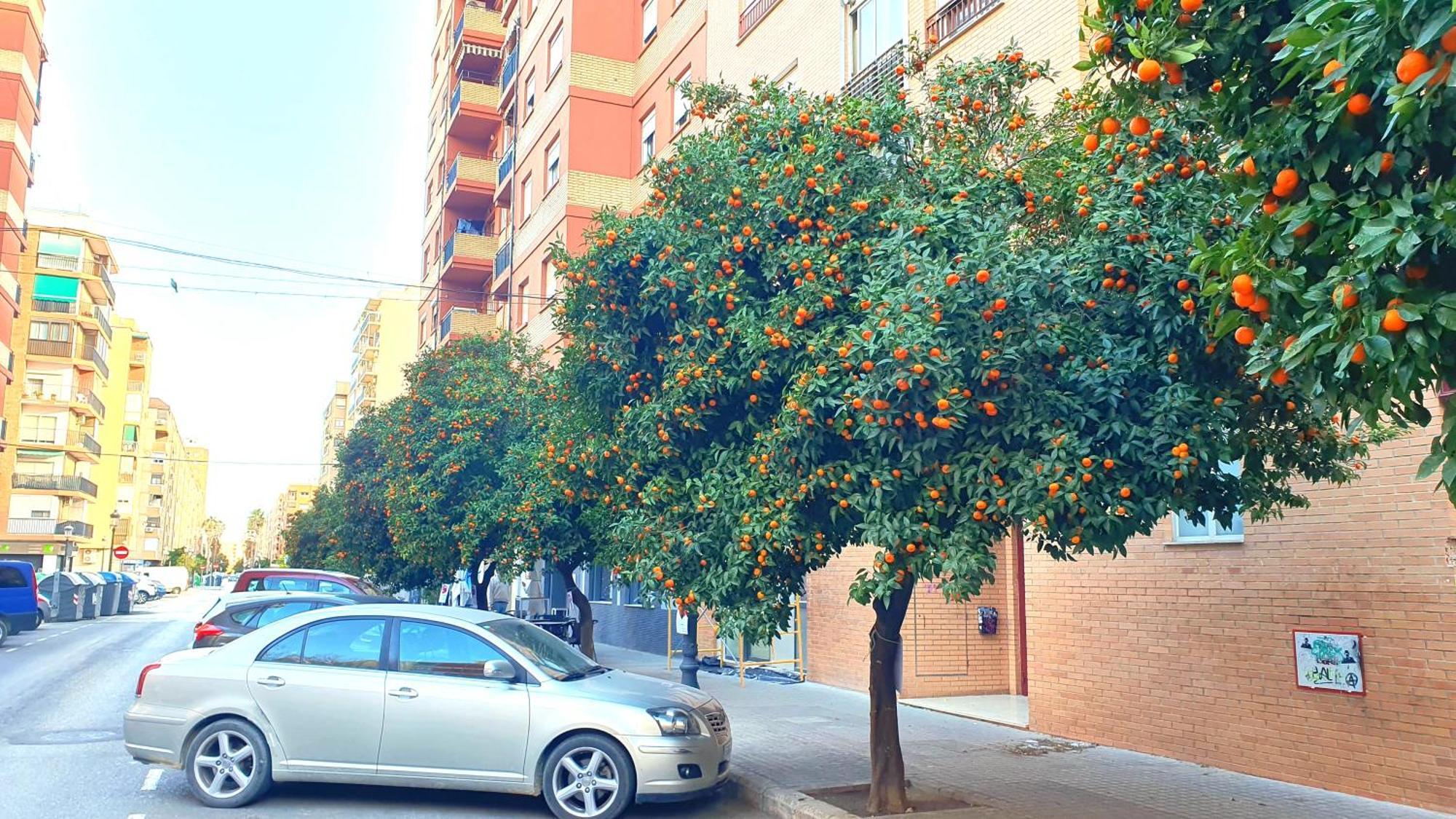 Nuevo Apartamentos Costa Del Alma Valencia Buitenkant foto